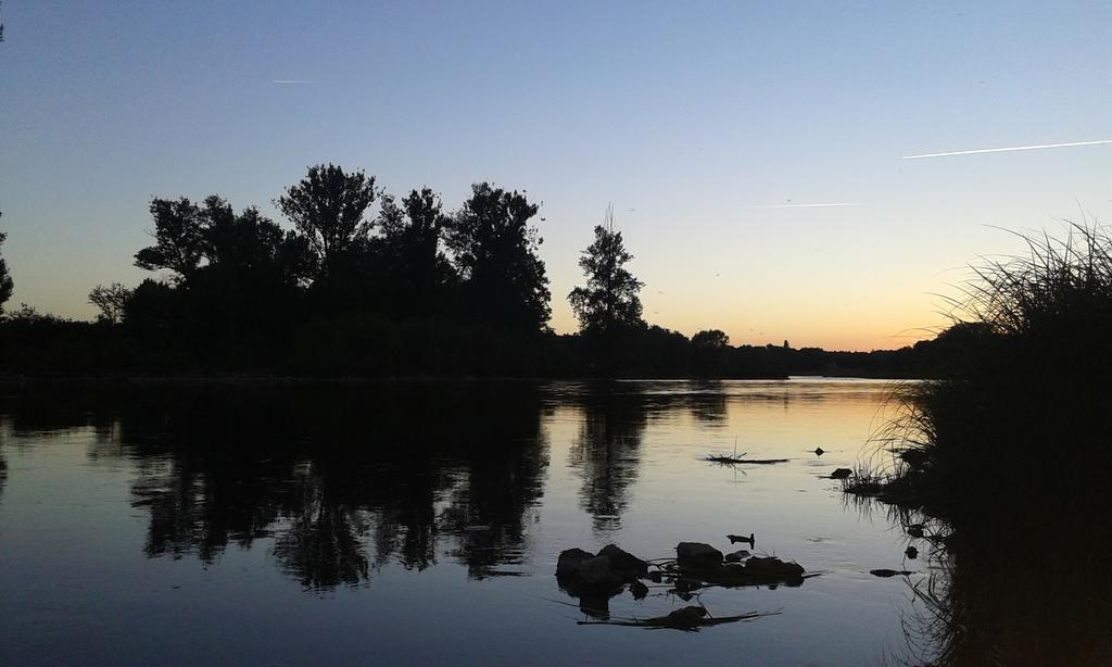 Bed and Breakfast La Chaumiere Ousson-sur-Loire Экстерьер фото