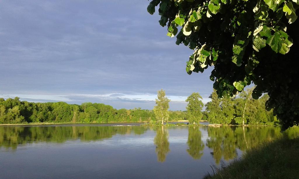 Bed and Breakfast La Chaumiere Ousson-sur-Loire Экстерьер фото