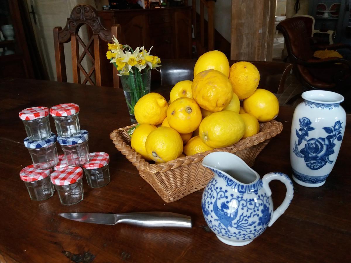 Bed and Breakfast La Chaumiere Ousson-sur-Loire Экстерьер фото